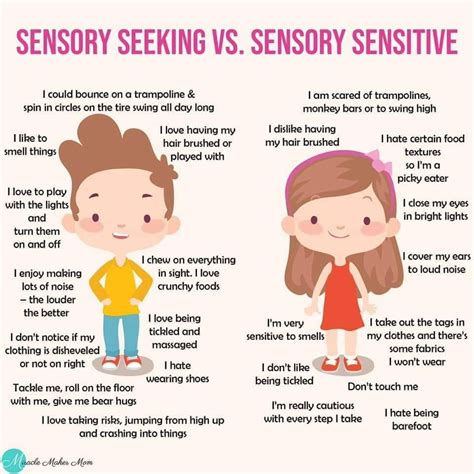 Sensory Seeking vs Sensory Sensitive | The Sensory Store | Sensory activities, Sensory ...