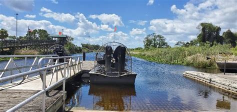 Everglades Swamp Tours (Everglades Wildlife Management Area) - 2020 All ...