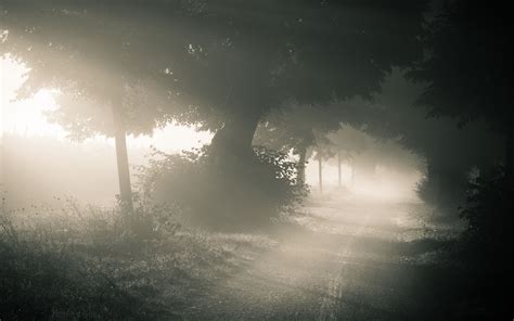 Niebla Fondo de pantalla HD | Fondo de Escritorio | 1920x1200 | ID ...