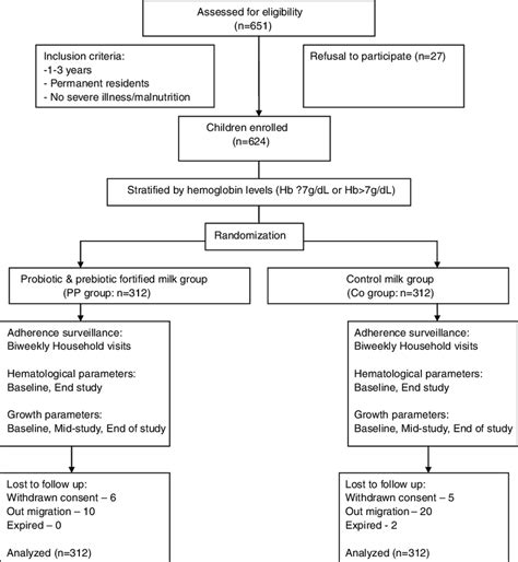 Schematic representation of double-blind randomized controlled trial ...