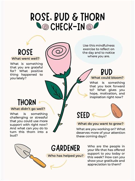 "Rose, Bud, and Thorn Check-In" Poster for Sale by PKindThoughts | Redbubble