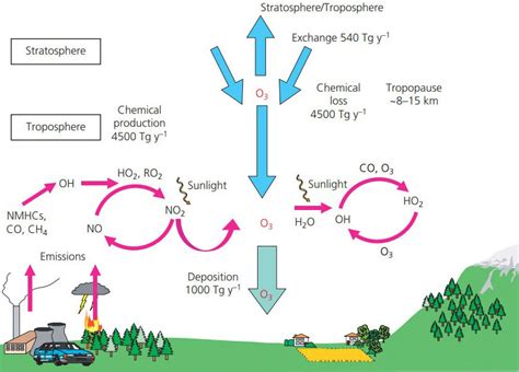 Ozone | Air Pollution Information System