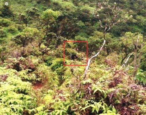 The disturbing disappearance of Daylenn Pua from Hawaii’s Stairway To Heaven walkway ...