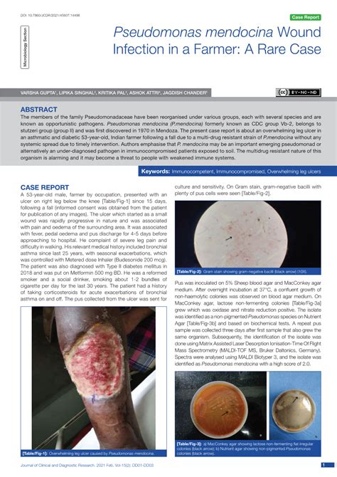 Pseudomonas Mendocina Wound Infection in a Farmer: a Rare Case ...