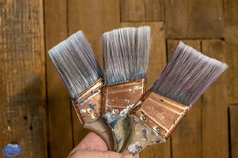 How to Clean Paint Brushes Correctly | Hometalk