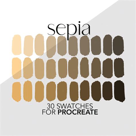 Sepia Procreate Color Palette Basic Color Swatches for Digital ...