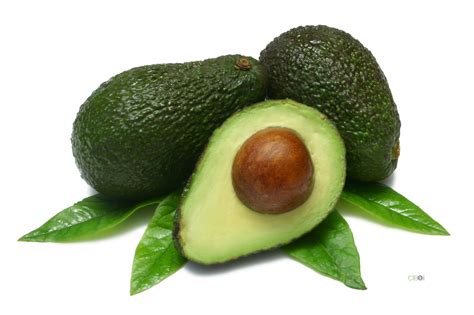 Avocado: proprietà curative, calorie e composizione chimica - Cibo.info