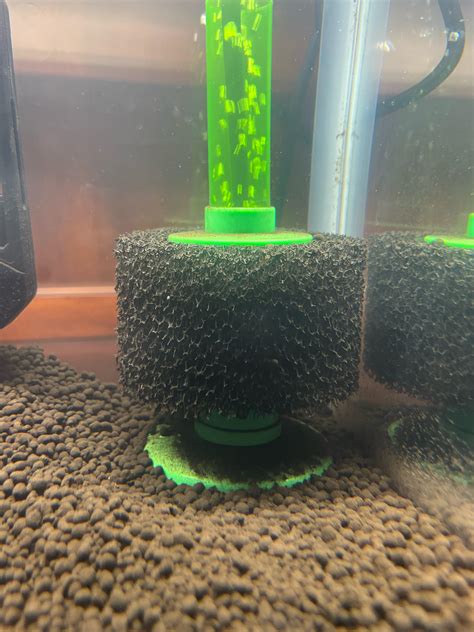 How to use Purigen with sponge filter? : r/Aquariums