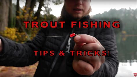 How To Fish Salmon Eggs For Trout Fishing (SUPER EFFECTIVE!!) - YouTube