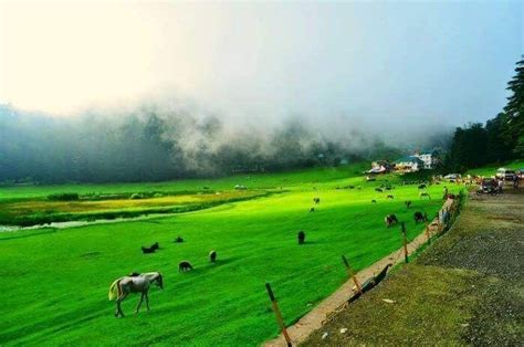 Khajjiar, a hill station in Chamba district, Himachal Pradesh !! | Tour ...