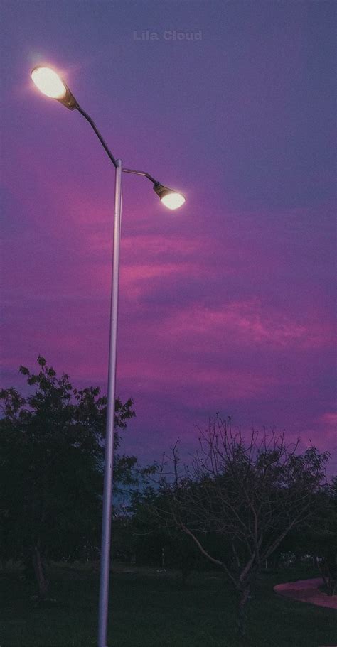 Ponte de luz, árboles, anochecer o atardecer, cielo rosa, cielo morado ...