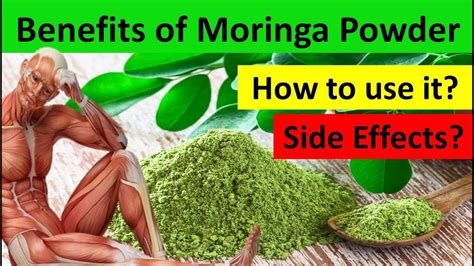 Benefits of Moringa Powder | How to Use Moringa Powder | Side Effects ...