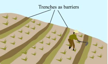 Difference between terrace farming , contour ploughing and contour barriers with explanation ...