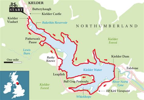 Travel North - 36: Kielder Wildlife Park, Woodland Wonderland in Northumberland - HubPages