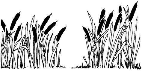 Pix For > Swamp Plants Clipart | Clip art, Art, Grass drawing