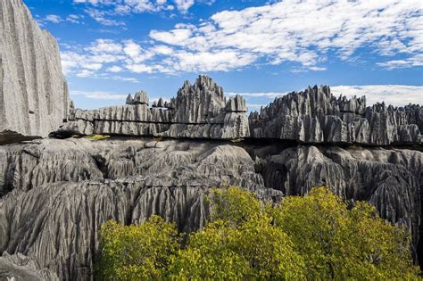 Tsingy de Bemaraha • Stone Forest • Madagascar