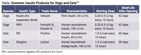 How Much Insulin Should I Give My Dog