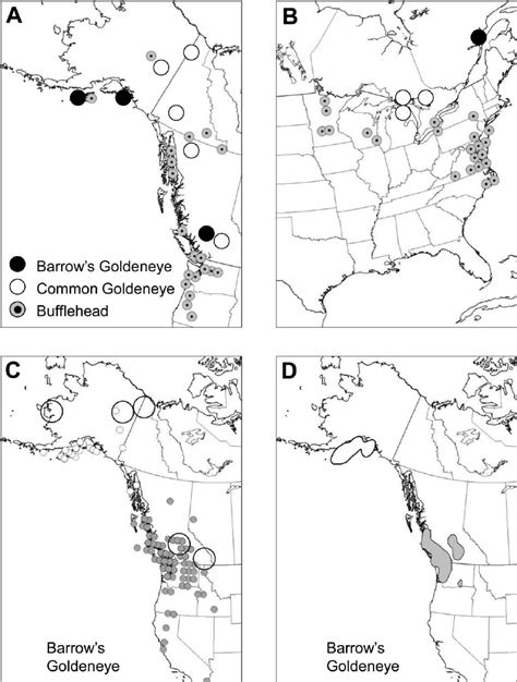 Location of DNA sample locations for Barrow’s Goldeneye, Common... | Download Scientific Diagram