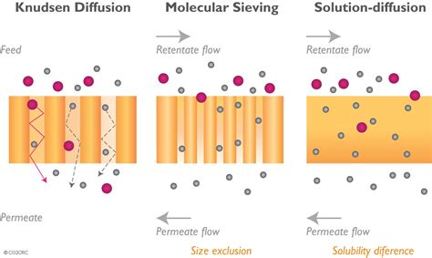 Membrane gas separation Schematic representation of three of the different possible mechanisms ...