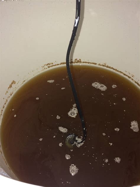 Saison fermentation. White residue and thin film. Infected? - Homebrewing Stack Exchange