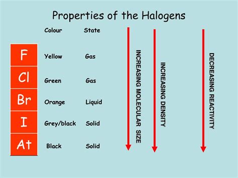 PPT - Group 7 – The Halogens PowerPoint Presentation, free download ...