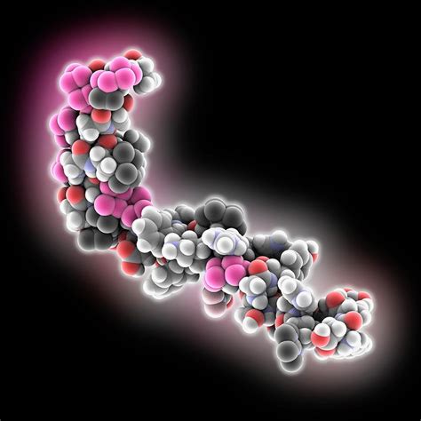 Amyloid Beta Protein Molecule Photograph by Laguna Design - Pixels