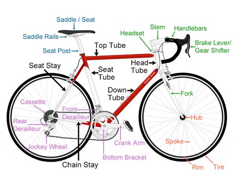 Parts of a bike Diagram | Quizlet