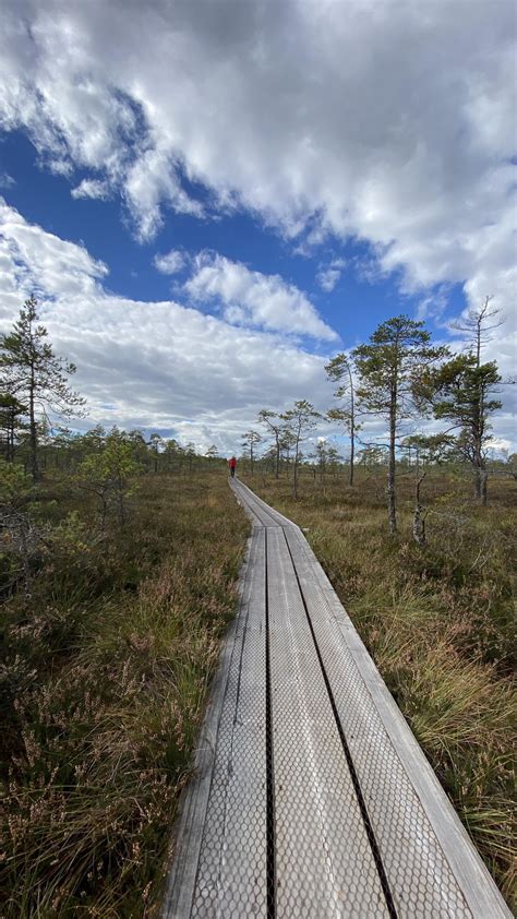 Estonia hike trails : r/Outdoors