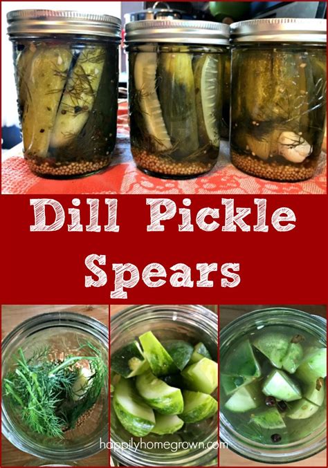 Dill Pickle Spears - Happily Homegrown