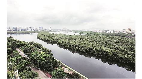 Mumbai: Install STPs along Mithi river or face legal action, BMC warned ...