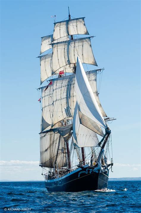 Dutch clipper brig Morgenster | Sailing, Old sailing ships, Tall ships