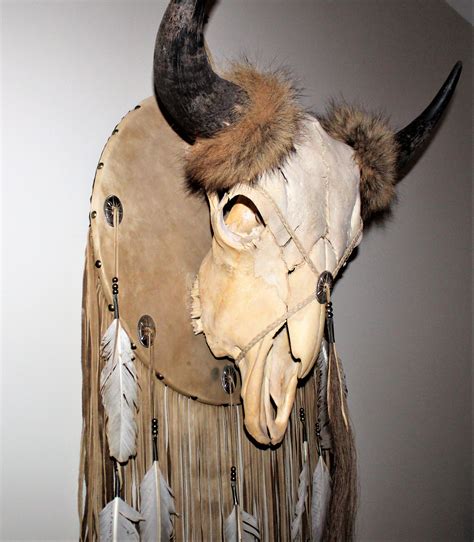 Real American Buffalo Skull, South Dakota Buffalo, Bison Skull