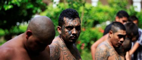 More Than 20 MS-13 Gang Members Arrested In California | The Daily Caller