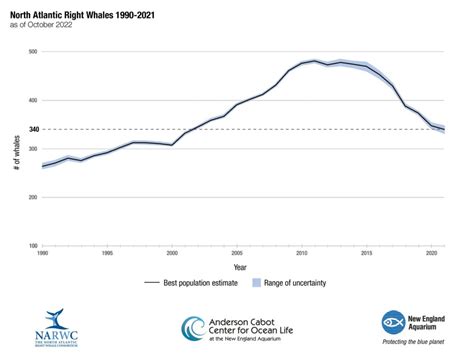 Facing Human-Caused Threats, Right Whales’ Downward Trend Continues - New England Aquarium