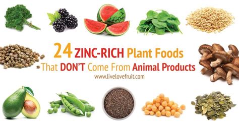 24 Foods Rich in Zinc to Help Boost Your Immunity, Reduce Inflammation and Increase Antioxidant ...