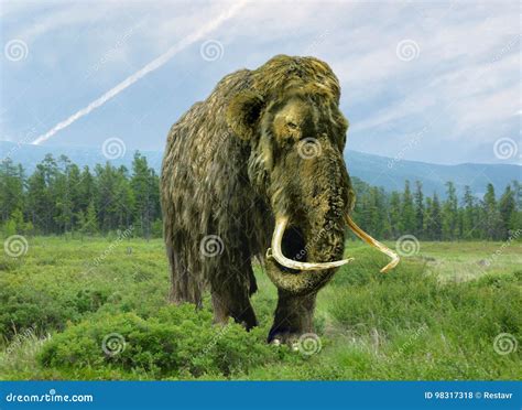 Mammoth cloning. stock photo. Image of grass, flora, extinct - 98317318