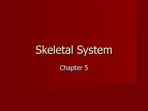 Skeletal System 2