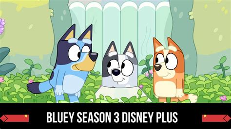 Bluey Season 3 Disney Plus Release Date Status And Other Update That ...