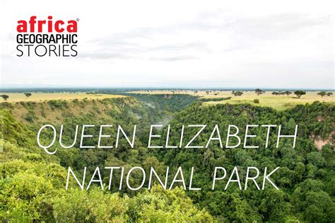 Queen Elizabeth National Park Archives - Africa Geographic