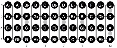 How to learn the bass guitar – CollegeLearners.com