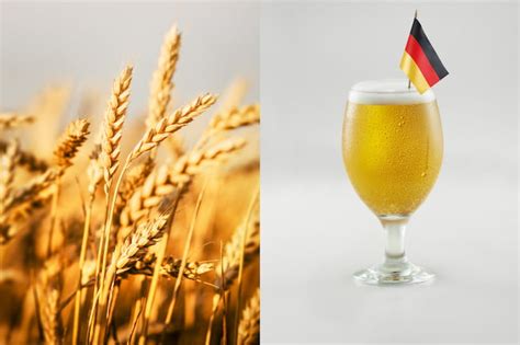 What is German Wheat Beer? Everything You Need To Know