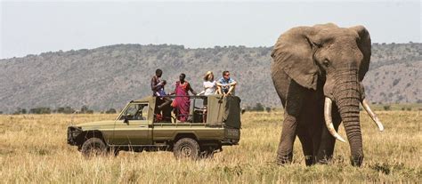 Exclusive Travel Tips for Meru National Park in Kenya