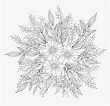 Drawing Dandelion Color  Transparent Digital Coloring Pages HD Png sketch template