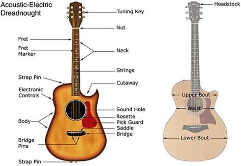 Electric Guitar Bridge Parts Names | Guitar Information