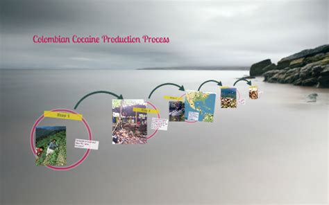 Colombian Cocaine Process by Laura Zappas on Prezi