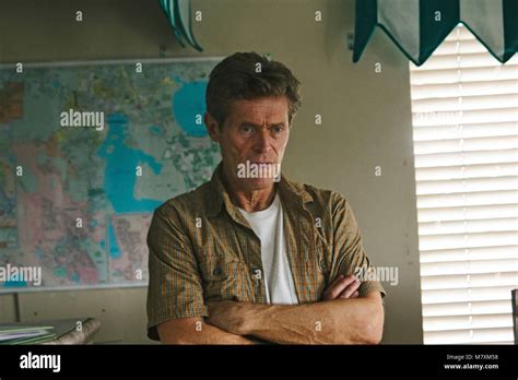 THE FLORIDA PROJECT, Willem Dafoe, 2017. © A24 /Courtesy Everett ...