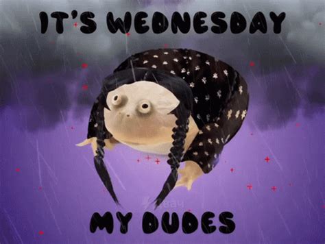 Its Wednesday My Dudes Frog GIF - Its Wednesday My Dudes Frog Meme - Discover & Share GIFs