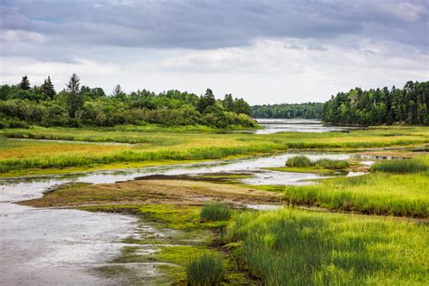 Working for our wetlands | Copernicus