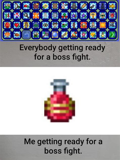 My first good meme : r/Terraria