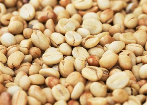 What is White Coffee? Beans, Benefits, and 3 Recipes | EnjoyJava